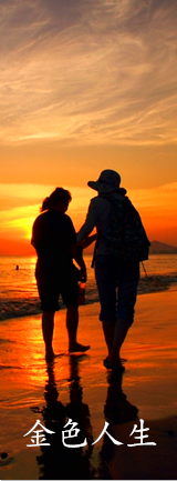 ����F(tu��n)